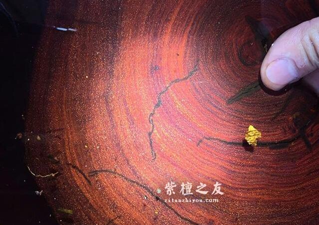 你知道紫檀木哪个部分材质最好吗？-4