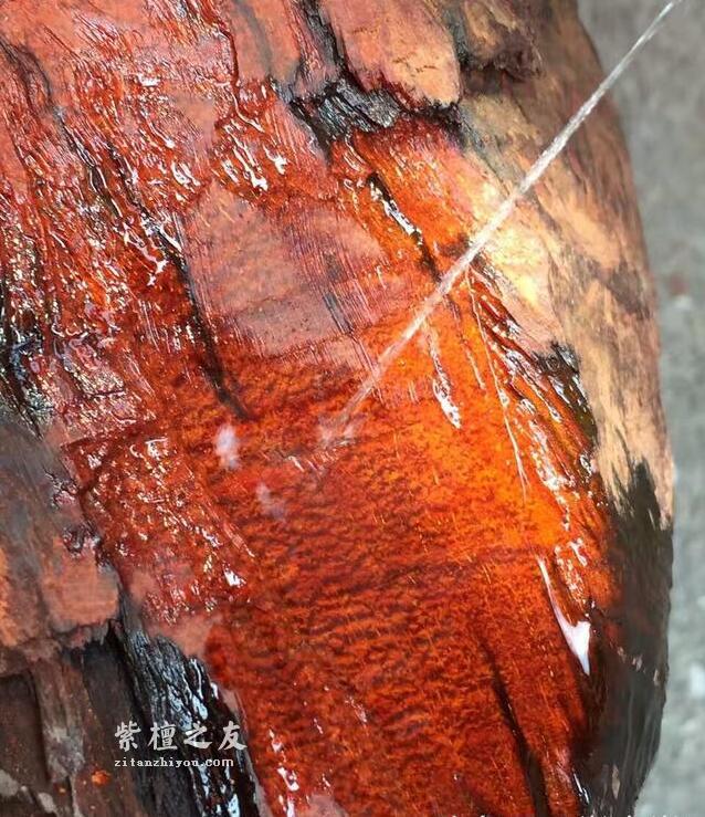 你知道紫檀木哪个部分材质最好吗？-5