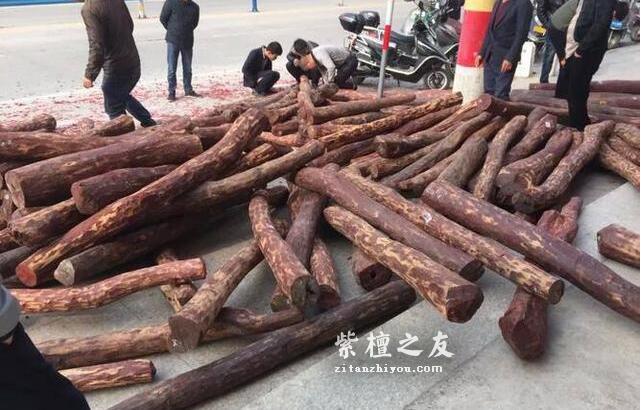 10种不同规格小叶紫檀原材交易行情-7