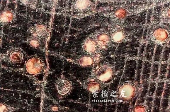 详解关于小叶紫檀金星脱落的原因-4