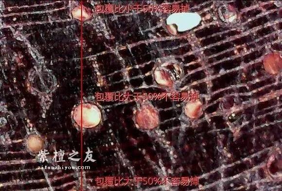 详解关于小叶紫檀金星脱落的原因-2