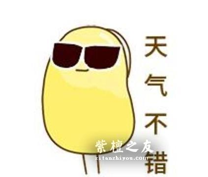 厉害了我的紫檀！竟然用黄豆来盘-2