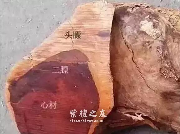 不要再问了，这些小叶紫檀问题无解，谁都没法给你准确答案-3
