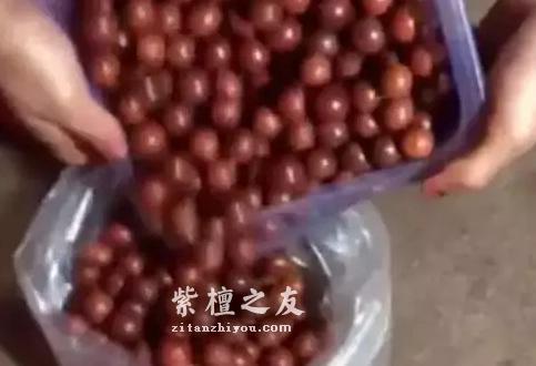 什么？这样的爆满金星是假货？-6