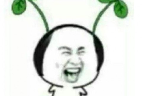 紫檀说:夏天了,皇上要注意恩宠方式哦