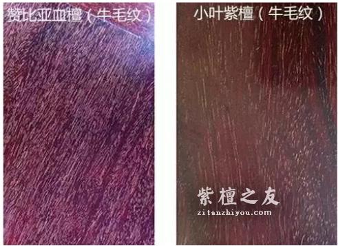 什么是血檀 如何鉴别“血檀”和“小叶紫檀”-4