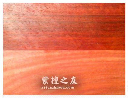 什么是血檀 如何鉴别“血檀”和“小叶紫檀”-3
