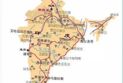 市场上对小叶紫檀认识的误区有哪些？