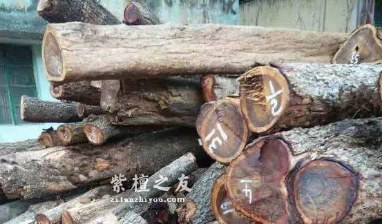 市场上对小叶紫檀认识的误区有哪些？-5
