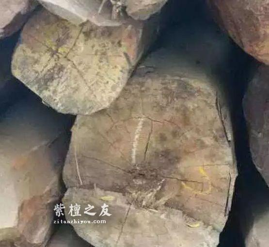 市场上对小叶紫檀认识的误区有哪些？-6