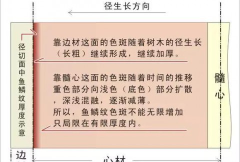 小叶紫檀老料中为什少见鱼鳞纹？