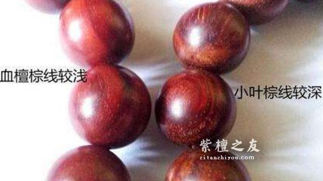 小叶紫檀与赞比亚血檀的区别-6