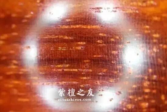 为什么你的小叶紫檀金星掉了？-4