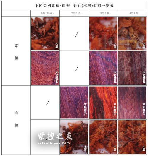 血檀究竟品质如何？看看与小叶紫檀的对比实验就知道了！-17