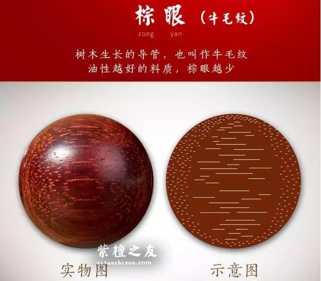 小叶紫檀必懂的各种名词-1