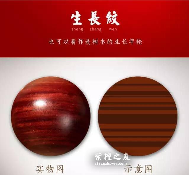 小叶紫檀必懂的各种名词-2