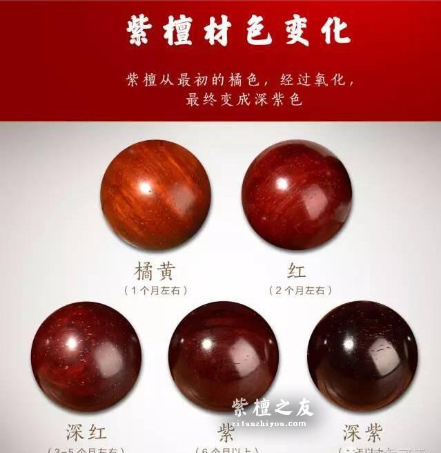 小叶紫檀必懂的各种名词-3