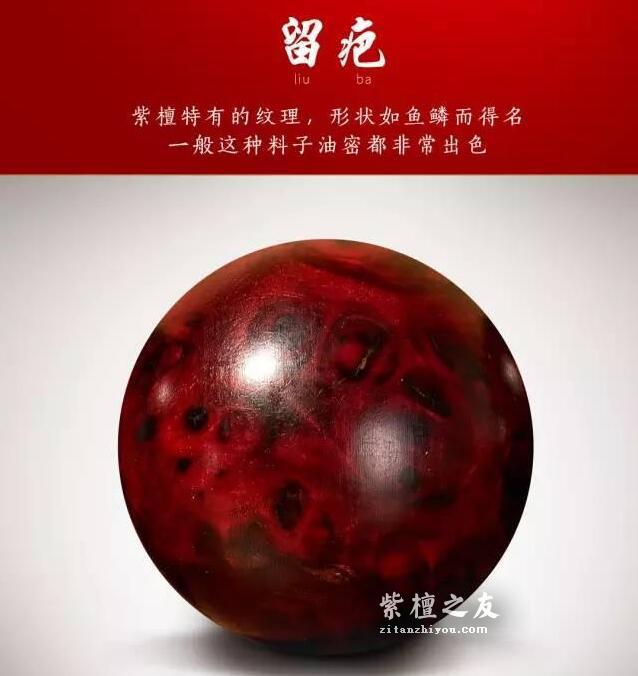 小叶紫檀必懂的各种名词-8