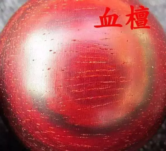 血檀和小叶紫檀的细节种种区别-4