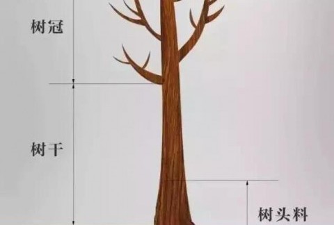 解析小叶紫檀树头料