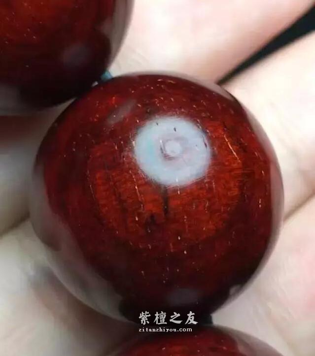解析小叶紫檀树头料-2