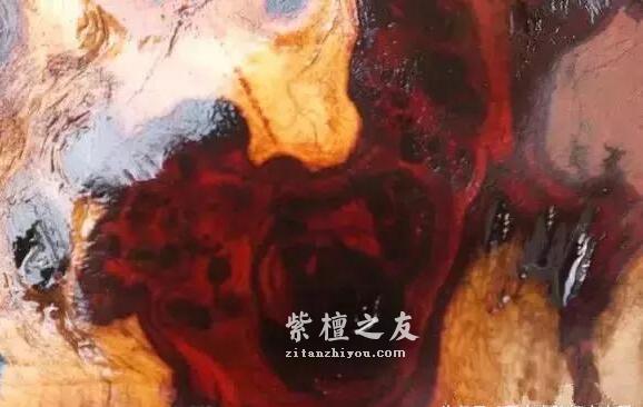 解析小叶紫檀树头料-3