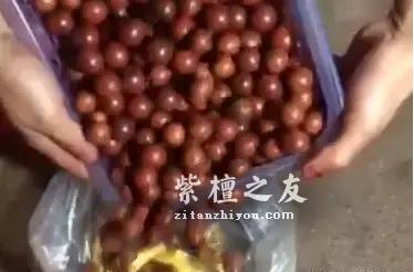 揭秘小叶紫檀金星造假之术-16