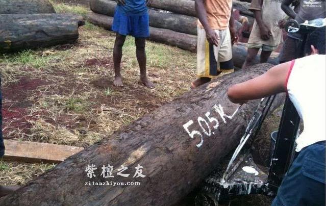 一根大叶檀，半本黑白道：大叶紫檀的江湖野史！-1