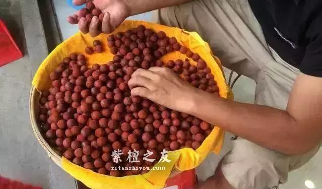 图文详解紫檀手串的制作过程-14