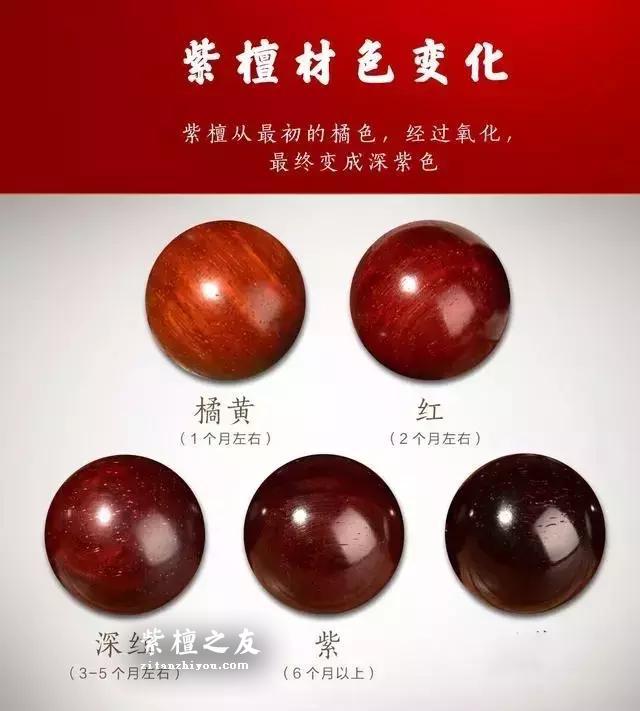 盘玩小叶紫檀，不知道这些等于瞎玩！-2
