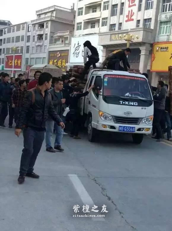 前线“特工”曝紫檀赌树攻略-1