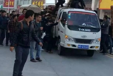 前线“特工”曝紫檀赌树攻略