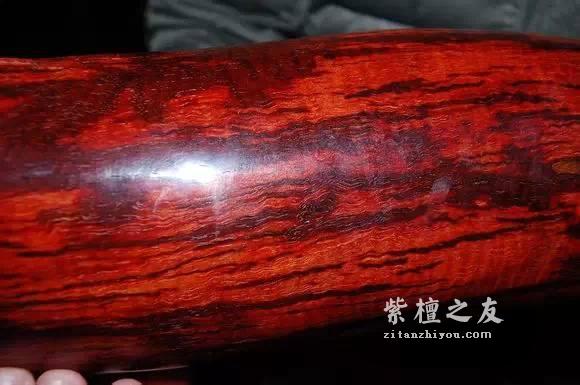 前线“特工”曝紫檀赌树攻略-10