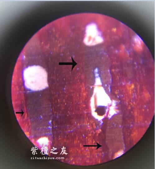 第六代假金星，都横空出世了，你还能分辨出来吗？-3