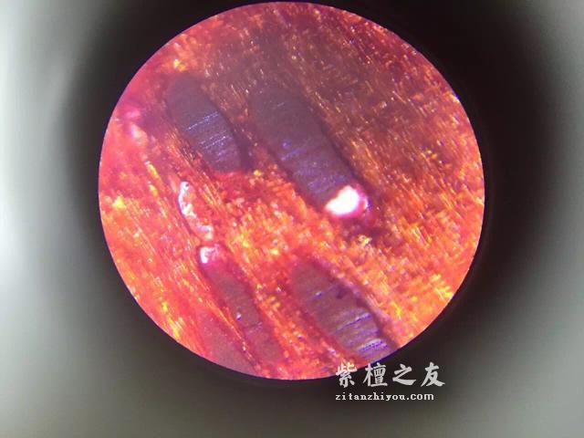 第六代假金星，都横空出世了，你还能分辨出来吗？-6