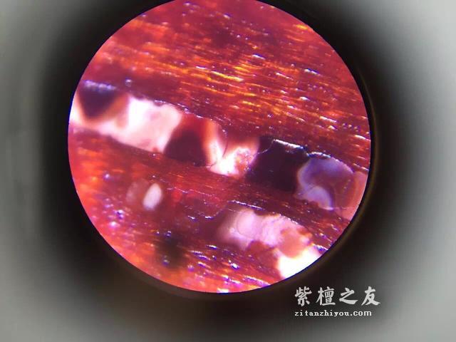 第六代假金星，都横空出世了，你还能分辨出来吗？-27