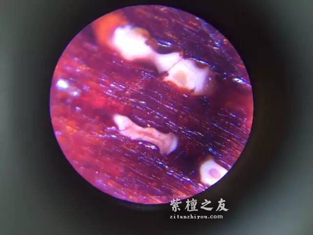 第六代假金星，都横空出世了，你还能分辨出来吗？-30