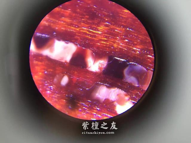 第六代假金星，都横空出世了，你还能分辨出来吗？-32
