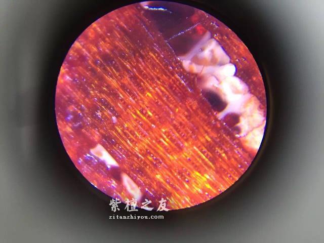 第六代假金星，都横空出世了，你还能分辨出来吗？-33