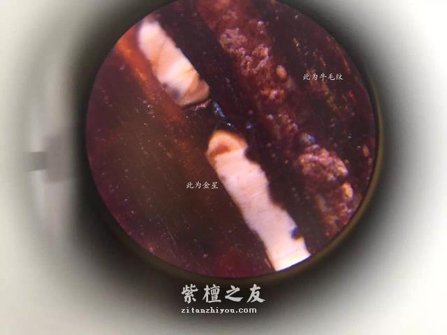第六代假金星，都横空出世了，你还能分辨出来吗？-35