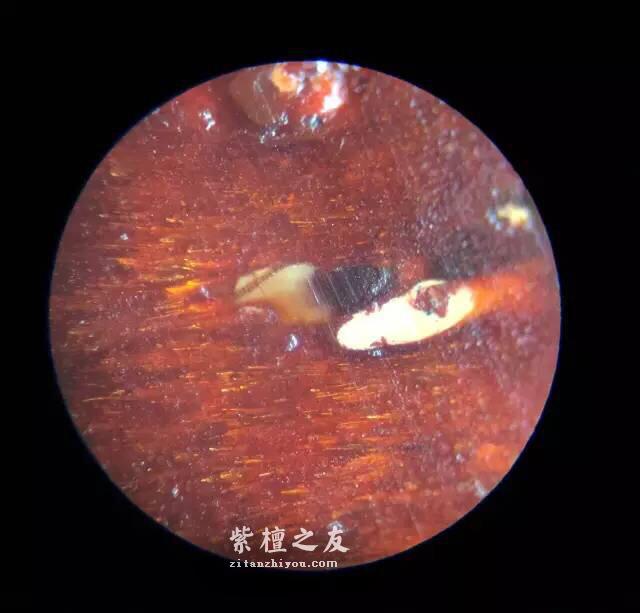第六代假金星，都横空出世了，你还能分辨出来吗？-36