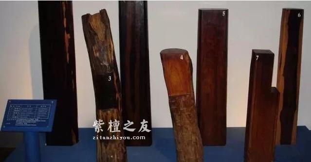 红木百科--大叶紫檀（卢氏黑黄檀）-9