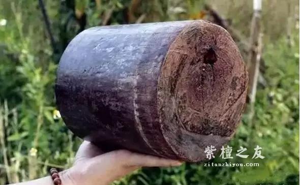 紫檀拆房老料——一层沧桑，一层鲜嫩-3