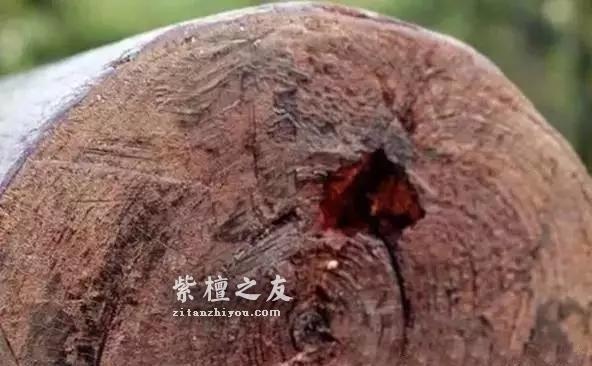 紫檀拆房老料——一层沧桑，一层鲜嫩-4
