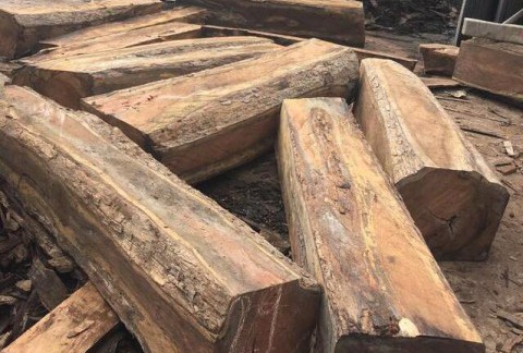 大果紫檀少量走货非洲紫檀价格跌至冰点
