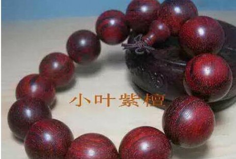 小叶紫檀与大红酸枝、科檀、赞比亚紫檀（血檀）的鉴别