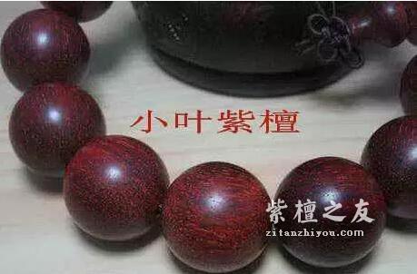 小叶紫檀与大红酸枝、科檀、赞比亚紫檀（血檀）的鉴别-2