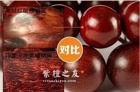 小叶紫檀与大红酸枝、科檀、赞比亚紫檀（血檀）的鉴别-6