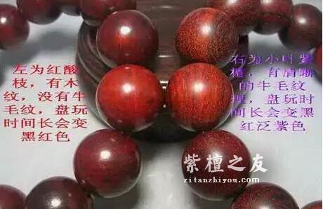 小叶紫檀与大红酸枝、科檀、赞比亚紫檀（血檀）的鉴别-5