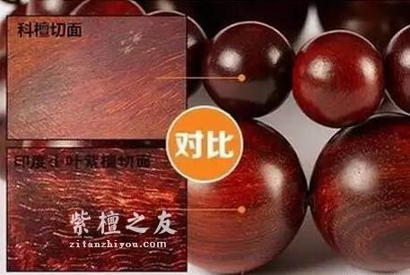 小叶紫檀与大红酸枝、科檀、赞比亚紫檀（血檀）的鉴别-8